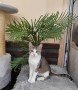 Bubi (5)